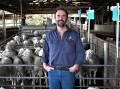 Cashmore Oaklea stud co-principal John Keiller says clients aimed to start self-replacing Maternal composite and Nudie flocks. Picture supplied