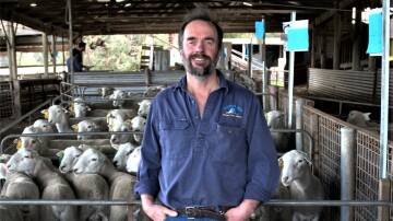 Cashmore Oaklea stud co-principal John Keiller says clients aimed to start self-replacing Maternal composite and Nudie flocks. Picture supplied