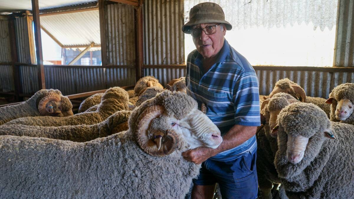 Glendonald Merino stud principal and mixed farmer Robert Harding, Nhill, says he hopes to see farmers get a higher premium for non-mulesed wool. Picture by Rachel Simmonds 