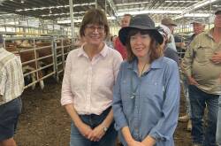 Jenny Bennett, Yea, and Lucia Kelleher, hailing from Mansfield, were looking to buy at the annual Yea weaner sale.