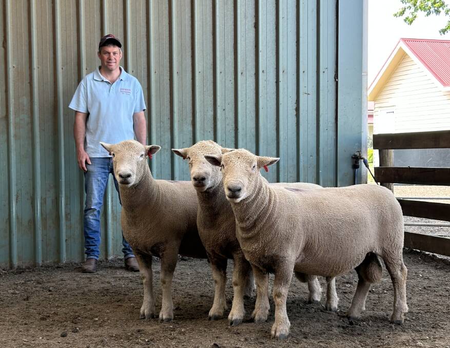Fairbank Poll Dorset, White Suffolk & Southdown stud principal Chris Badcock with the annual ram sale's three top-priced lots. Picture supplied 