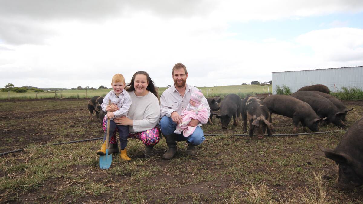 Harvey, Holly, Andrew and Piper Burns, with their free-range pigs. Pictures by Holly McGuinness