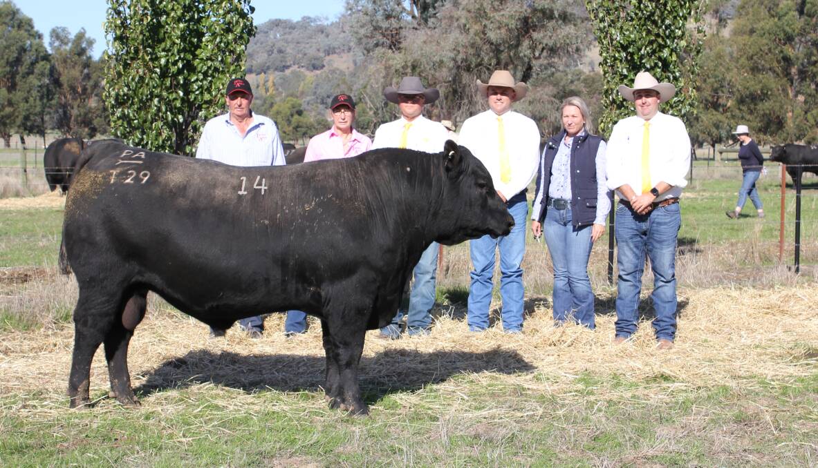 Prime Angus stud principals Colin Flanagan and Pat Ebert, Ray White GTSM agent Michael Glasser, Matt Spry and Laura Cunningham, Sprys Shorthorn and Angus stud, Wagga Wagga, NSW, and Ray White GTSM Ray White GTSM agent James Brown, with the top-priced bull. Picture by Holly McGuinness
