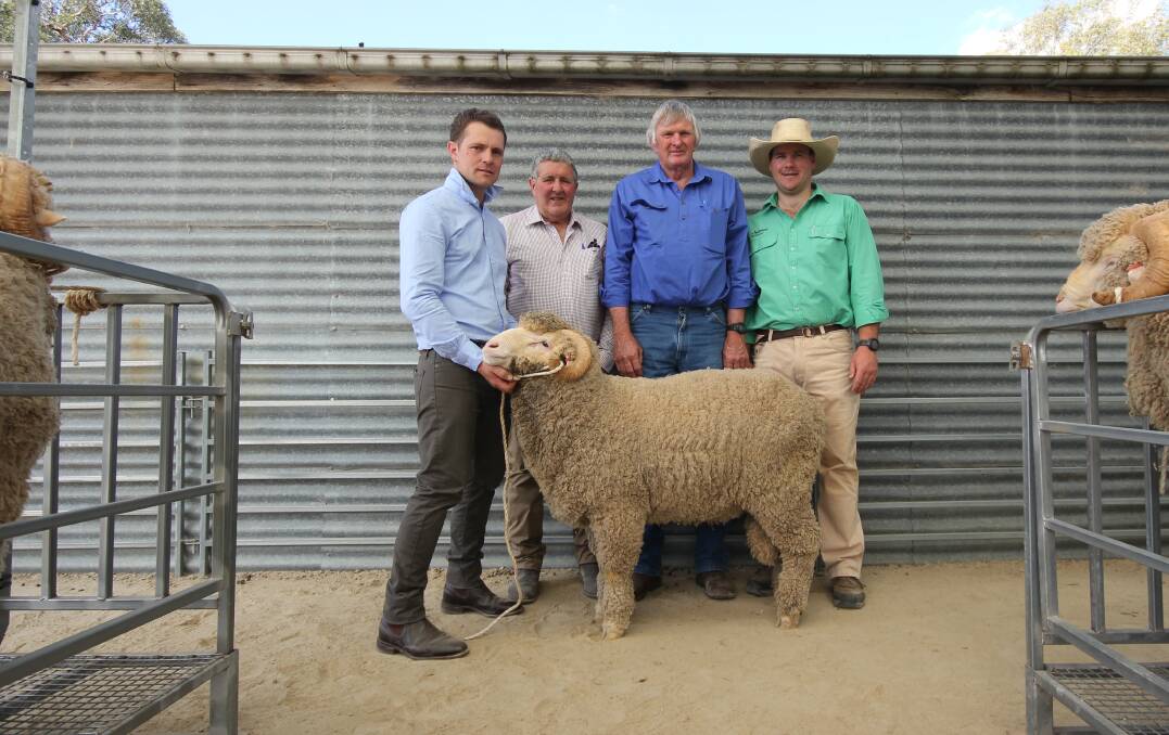 Beverley Merino co-principals Alexander Lewis and John Barty, top-priced buyer Jim Cordy, Walmer and Nutrien Bendigo agent Nick Farley. Picture by Holly McGuinness