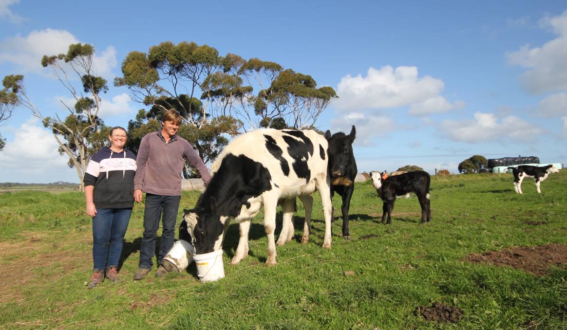 Ventnor dairy farmers Annette and Adam Eldridge. Picture by Holly McGuinness