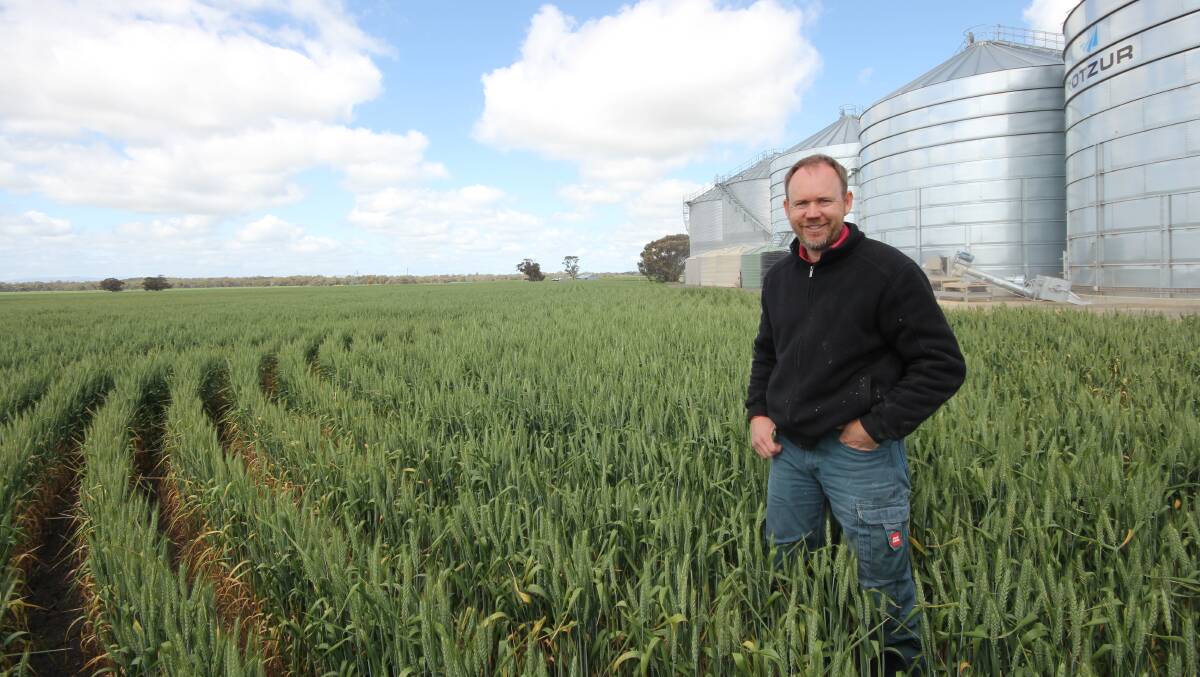 Tim Rethus, Rethus Farming, Horsham said mice, slugs and unpredictable weather had caused for a difficult season for farmers in the Wimmera.