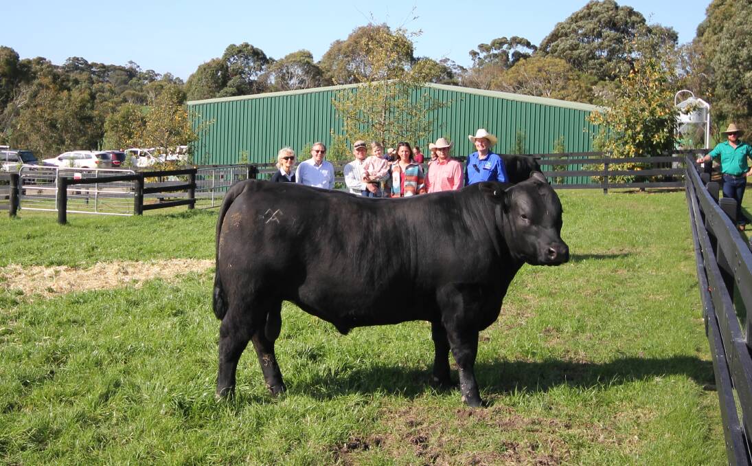 Moorunga Angus owners John and Sue Matthies, Dromana, with buyers Jayden, Dally and Arialle Boulton Elders agent Ryan Bajada, and Moorunga manager Glenn Trout, with Lot 5.