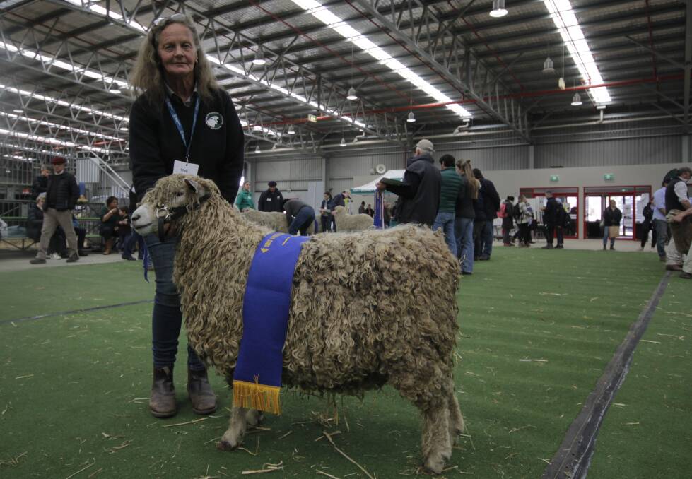 Allaray Lincoln Stud principal, Helen Raven, Henty, NSW, with her champion ewe. Picture by Holly McGuinness