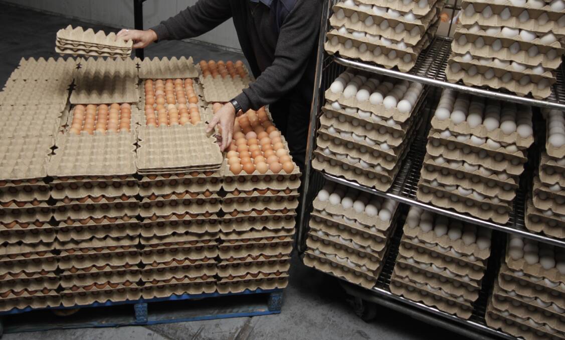 The future of cage eggs in Australia is to be decided today, as federal and state agriculture ministers will meet in Perth to discuss the topic. Picture by Holly McGuinness
