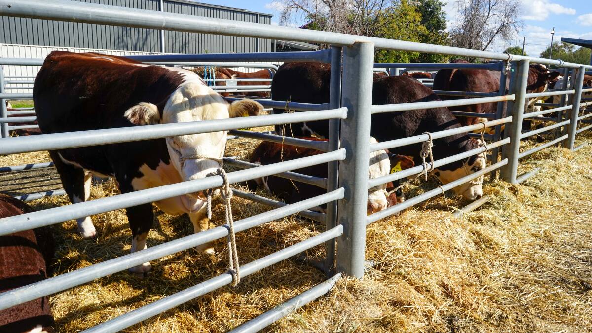 Investment into biosecurity training and quick responses have been included in this year's budget. Picture by Rachel Simmonds