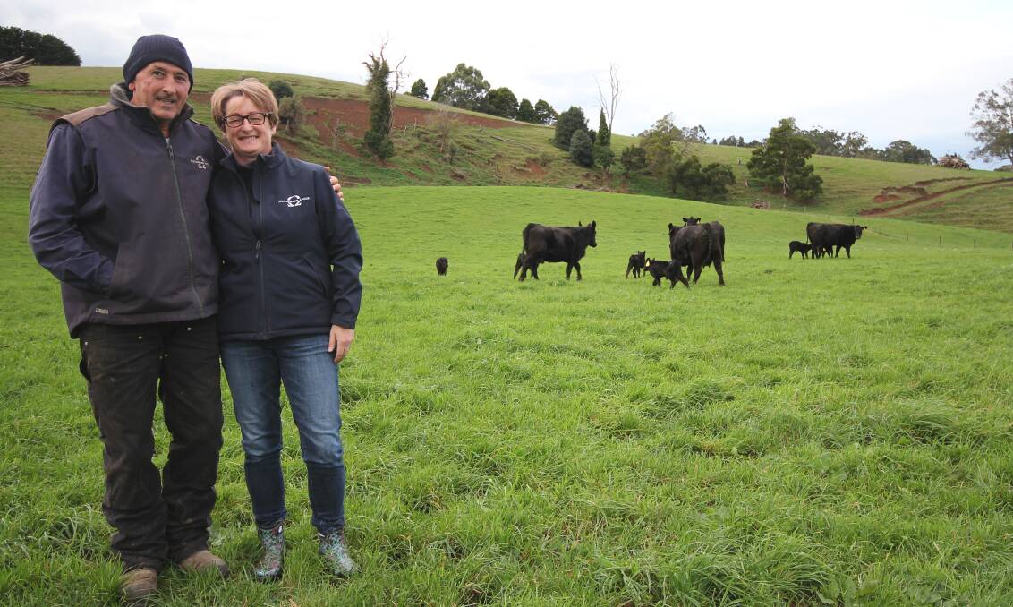 Merlewood Angus stud principals Daniel and Anne Marie Barrow, Mirboo North, with this years twins. Picture by Holly McGuinness