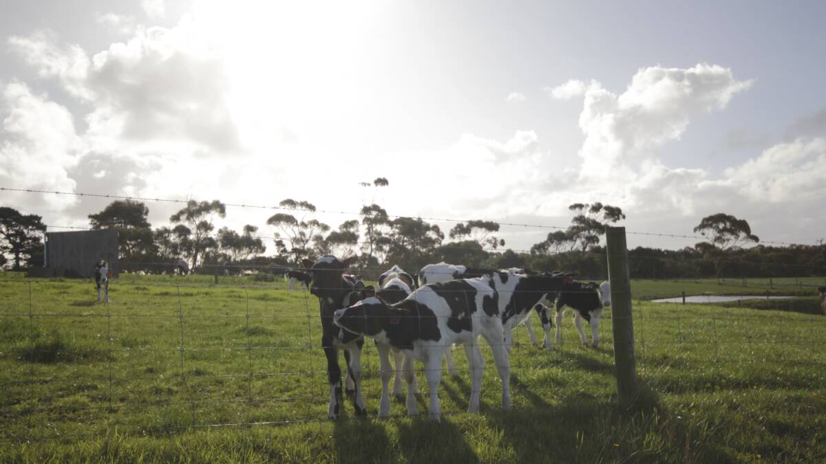 Dairy industry cautious in the lead up to this year's milk season