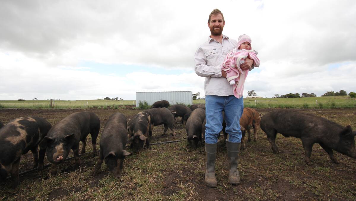 Andrew Burns with seven-month-old Piper and their pigs.