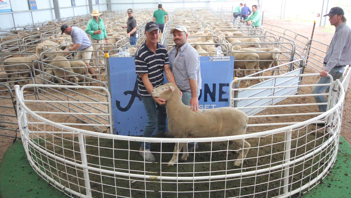 One of the top price buyers Peter Linke, Penshurst with Jack Behncke, LMB Livestock agent, Hamilton. Picture by Holly McGuinness