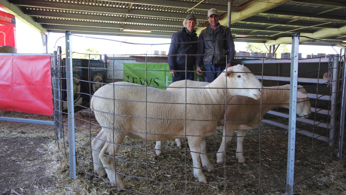 Michael O'Sullivan, Jews Harp Poll Dorset stud principal, Baynton, and Wes Stott, Bungeel Tap, Glen Hope, who purchased 17 rams on behalf of Hugh and Brigid Robertson, Bolobek, with Lot 1. Picture by Holly McGuinness