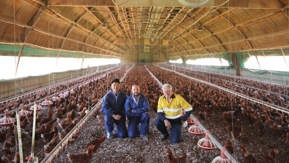 Kenneth Chan, Aurum Poultry Co marketing manager, Tyrone Scott, Scolexia livestock and technical services manager, and Joe Acciarito, Taylareign Farm, Werribee South. Picture by Holly McGuinness