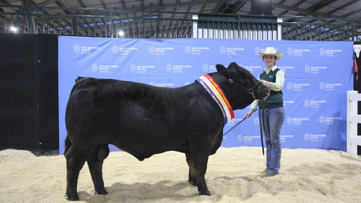 Ella Ritcher, Eclipse Cattle Services, Balaclava, SA with Limousin grand champion bull, Aruma Thor, Aruma Limousin Picture by Holly McGuinness