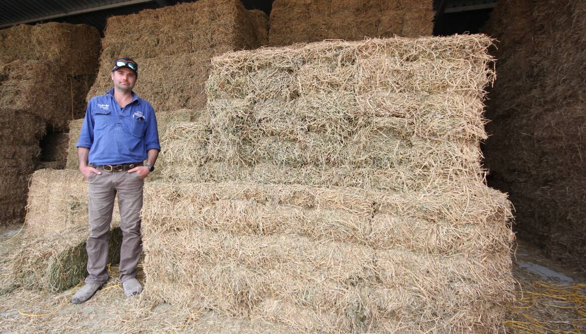 Bairnsdale Stockfeeds & Firewood owner Aaron Harvey had concerns around getting enough hay into the region during the dry weather. Picture by Holly McGuinness