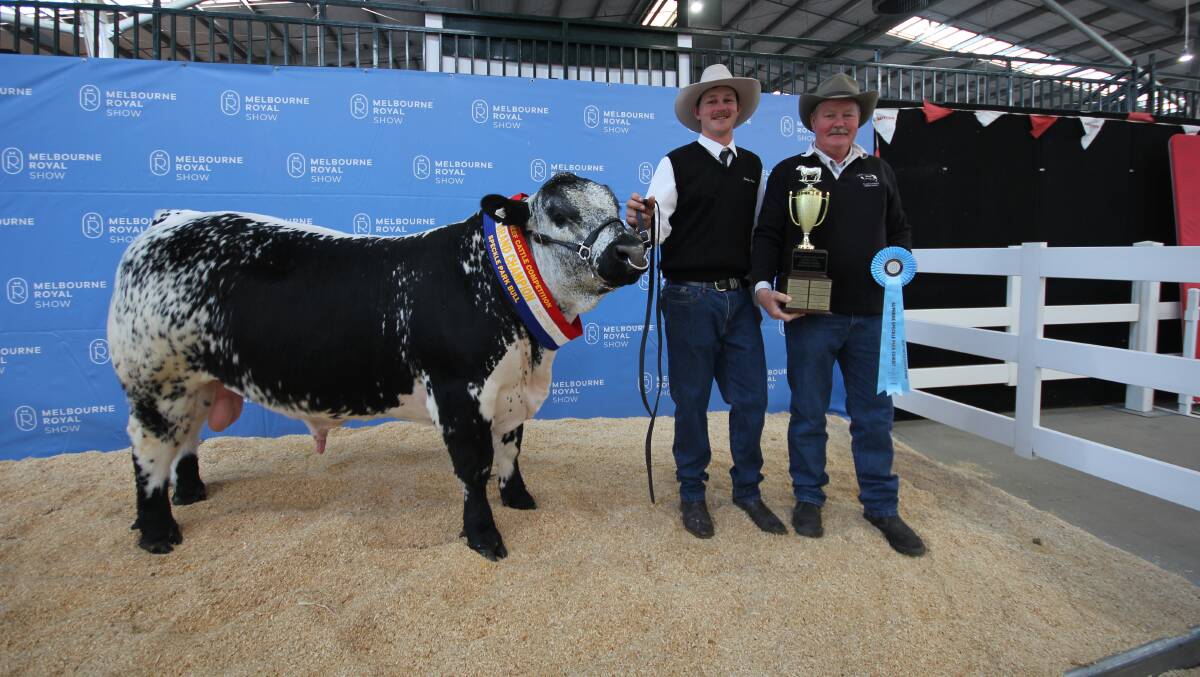 Black Diamond Speckle Park co-stud principals Murray and Andrew Van Der Drift with Speckle Park grand champion Black Diamond Tomahawk. Picture by Holly McGuinness 