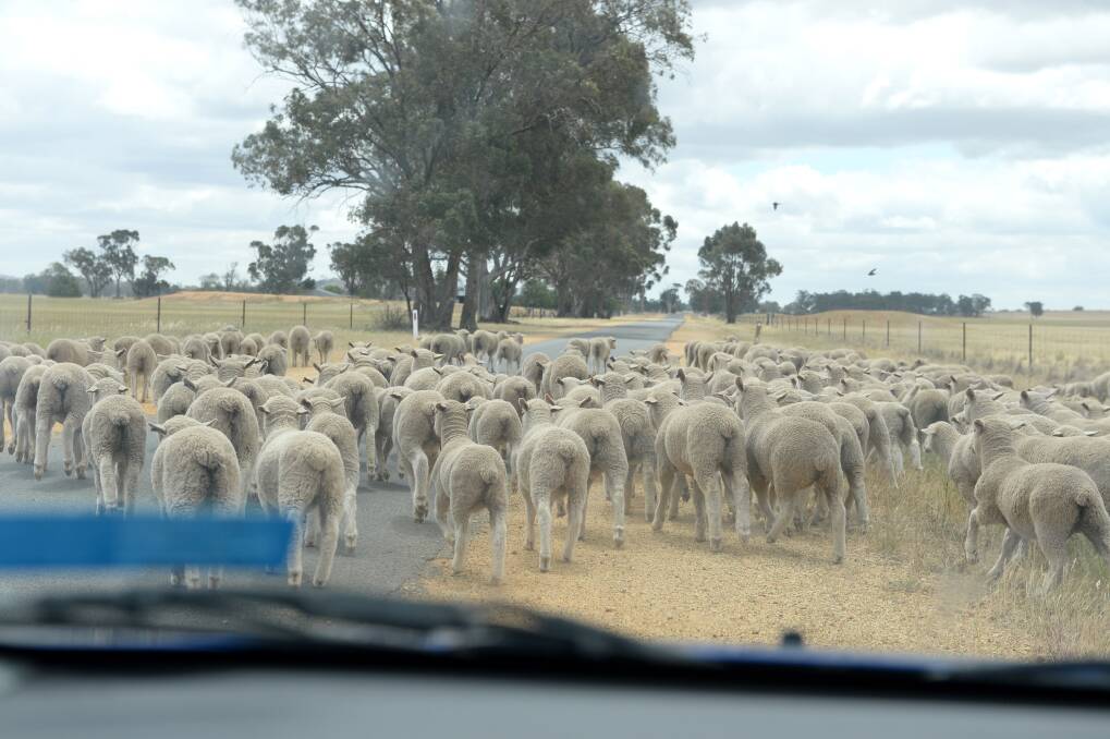 The Victorian Farmers Federation want to hear from Bendigo region farmers affected by farm crime. Picture file