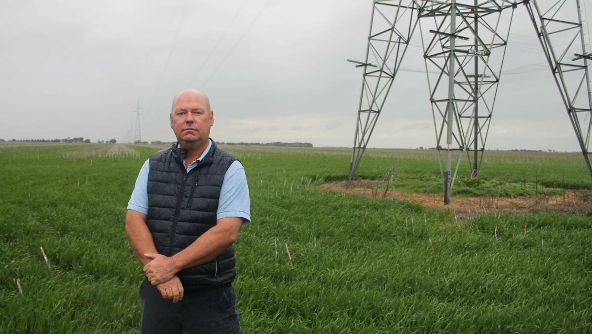 Simon Tickner, Wallup, said transmission line upgrades were essential if renewable projects were to fulfil their potential. Picture by Philippe Perez.