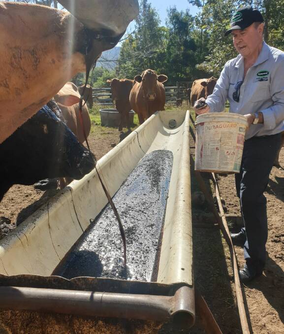 Agspand director Stephen Sullings adding biochar to molasses during the dry season. Picture: Supplied