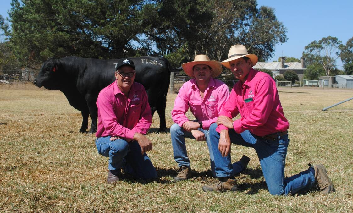 Te Mania Angus stud co-directors Tom Gubbins and Hamish McFarlane, Hexham, with farm manager Sam Reid, Hexham and their top-priced bull. Picture by Barry Murphy