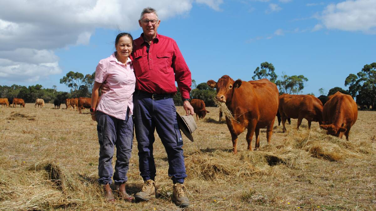 Sue and Tony Morgan, Bayles, watch over their 40-cow autumn calving herd. Picture by Barry Murphy 