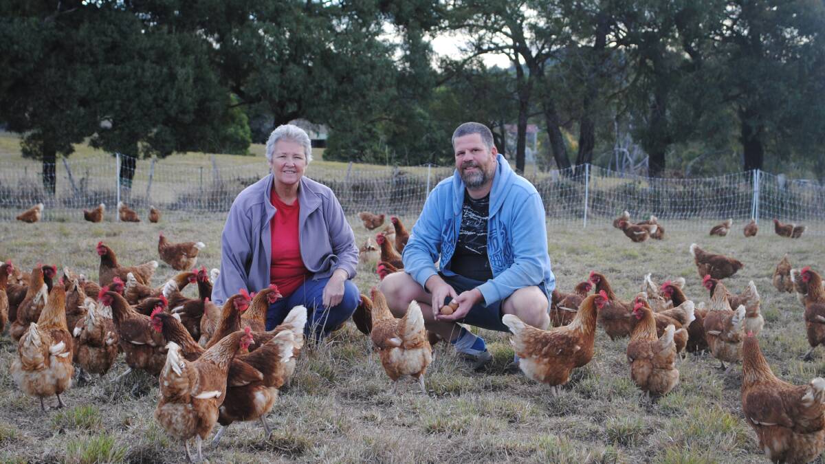 Pasture-based egg producers, Meredith Tiller, Glengarry, Tasmania, and her son in law, Duncan Holt, Glengarry, run 750 laying hens. Picture by Barry Murphy 