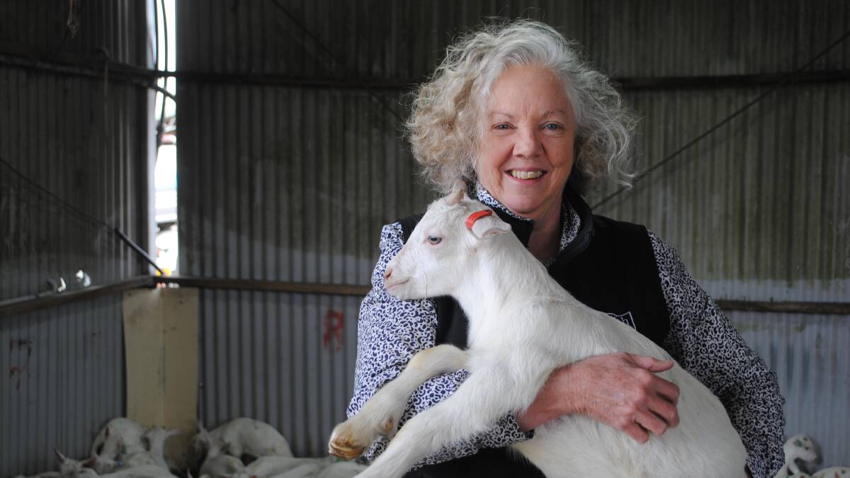Meredith Dairy co-founder Julie Cameron with a two-week-old kid. Picture by Barry Murphy