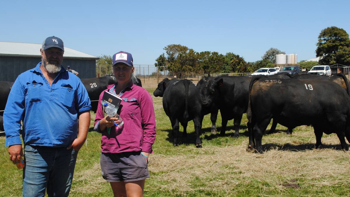 Matt Seabrook and Paige Nancarrow, Alondale Angus, Broadwater inspected the Claremont Angus bulls. Picture by Barry Murphy