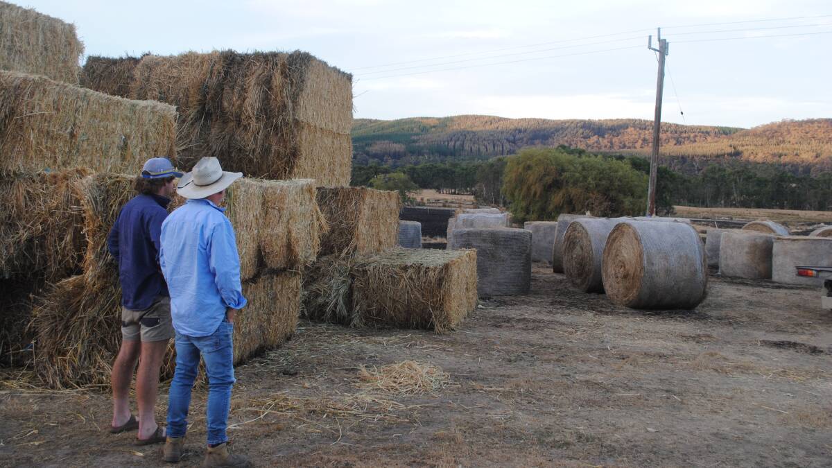 Angus and David Troup accessing some of the bales donated following the bushfire. Picture by Barry Murphy 