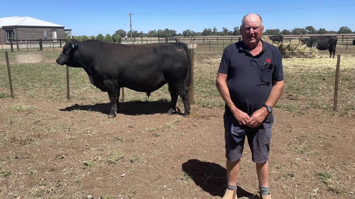 Merribrook Angus stud principal Graeme Collins, Tennyson, said land availability will be a challenge for beef farmers in the future. Picture by Barry Murphy