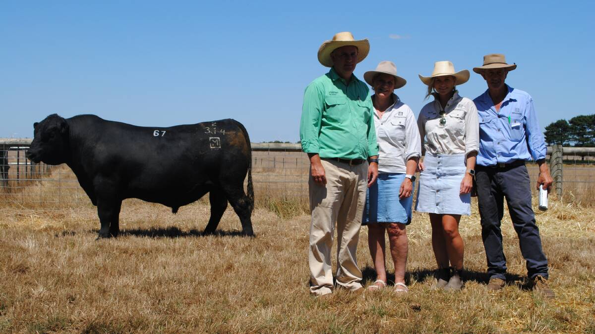 Pathfinder Angus stud principal Nick Moyle, Gazette with his wife Sara and daughter Elle, alongside Nutrien Ag Solutions southern studstock manager Peter Godbolt and the stud sale's top-priced bull. Picture by Barry Murphy