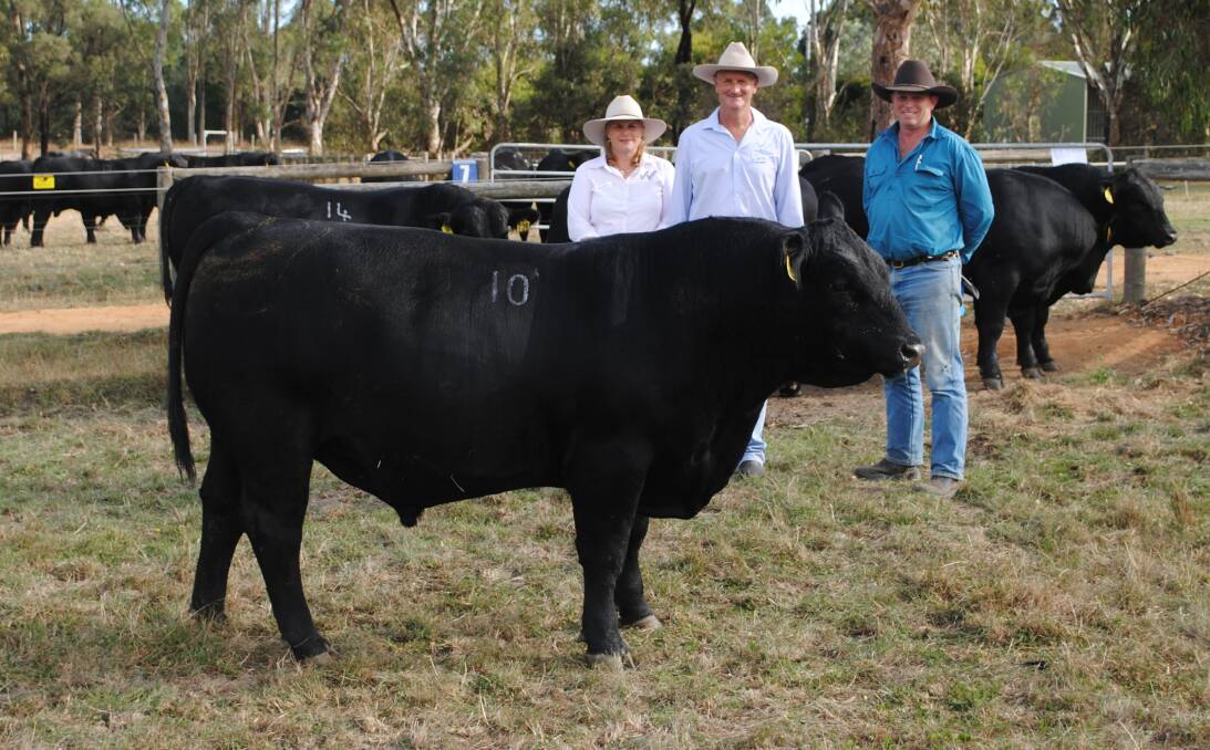 Wattlewood Angus stud owners Fiona and John Glover, Lang Lang, with the buyer of their top-priced bull, Tim Wilson, Labertouche, and the bull, Lot 10. Picture by Barry Murphy