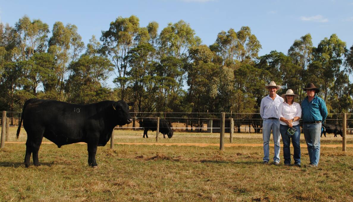 Wattlewood Angus stud owners John and Fiona Glover, Lang Lang, with the buyer of their top-priced bull, Tim Wilson, Labertouche, and the bull, Lot 10. Picture by Barry Murphy