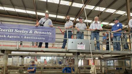 The Everitt, Seeley and Bennetts team will sell store cattle in Leongatha for the first time. Picture by Bryce Eishold
