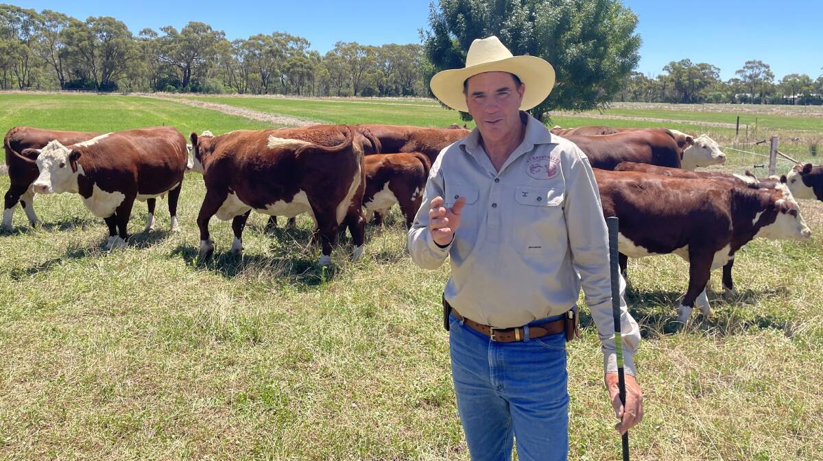Strathvalley Hereford stud principal Brett Young, Rochester, was hopeful that beef prices will improve for 2024. Picture by Barry Murphy