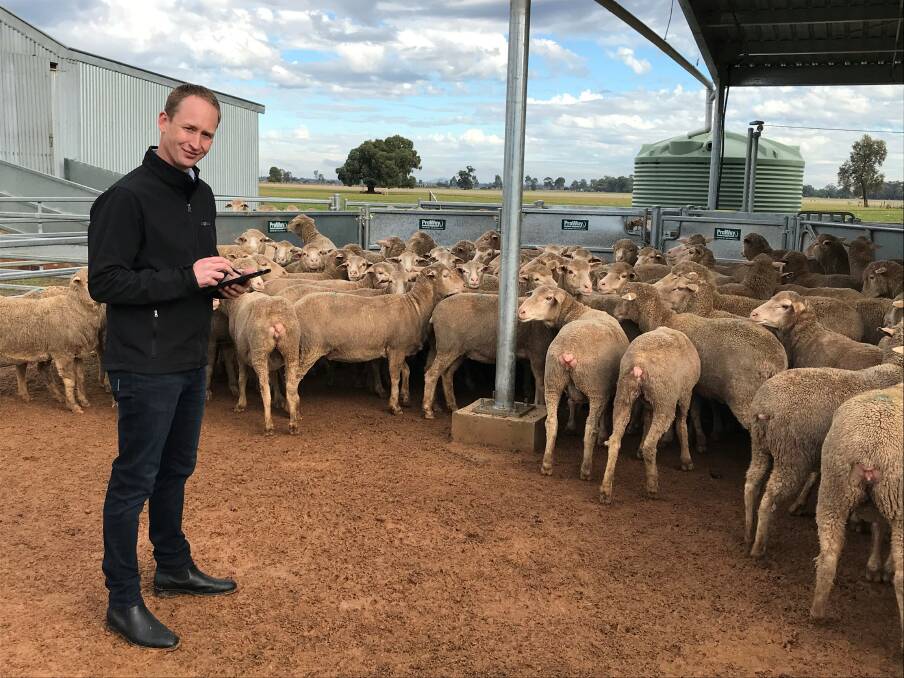 Agrinous managing director Joel Rockes demonstrating the Agrinous software platform, designed for use by stock agents, yard management and buyers. 