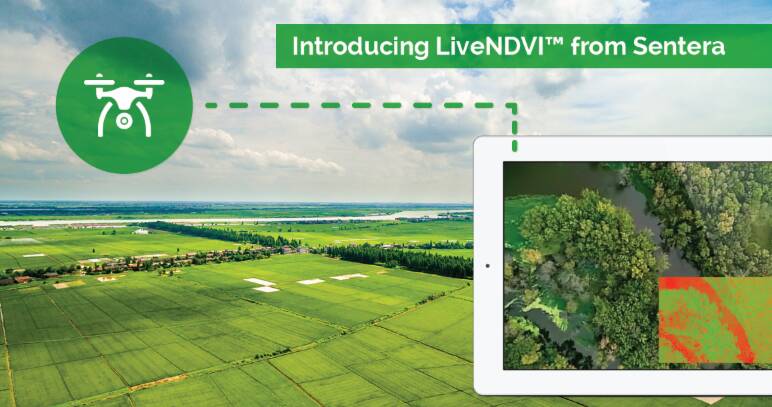 Drone captured data technology continues to evolve with Sentera announcing livestream capabilities for NDVI imaging.