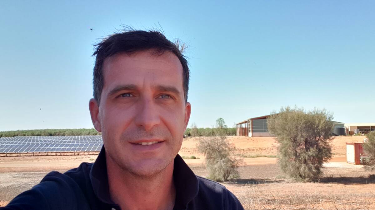 Drew Martin at his Omega Orchard near Renmark, South Australia with the bank of solar panels in the background. Photo: Drew Martin