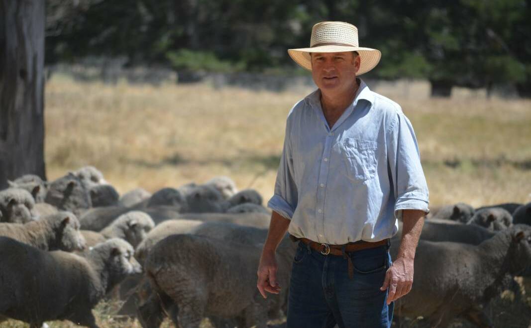 President WoolProducers Australia, Ed Storey is aware of the difficultly Australian woolgrowers are experiencing in getting their animal welfare programs understood by consumers. Photo: file
