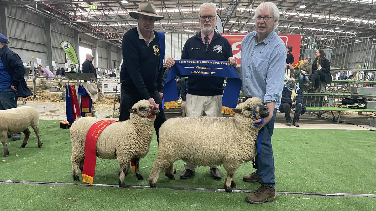 David Pickles, with reserve champion ewe, judge Gavin Wall, and Phil Pickles, with champion ewe.