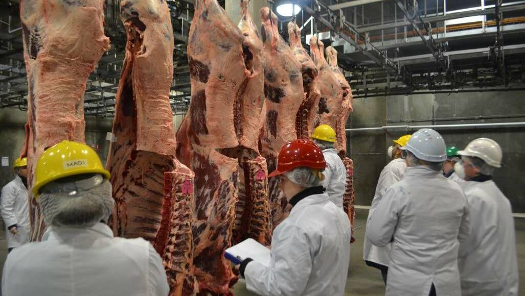 Students in the chiller at Teys Cargill processing plant in Wagga Wagga evaluating beef carcasses.