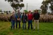 Merino ewes sold to $382 at Jerilderie| Photos