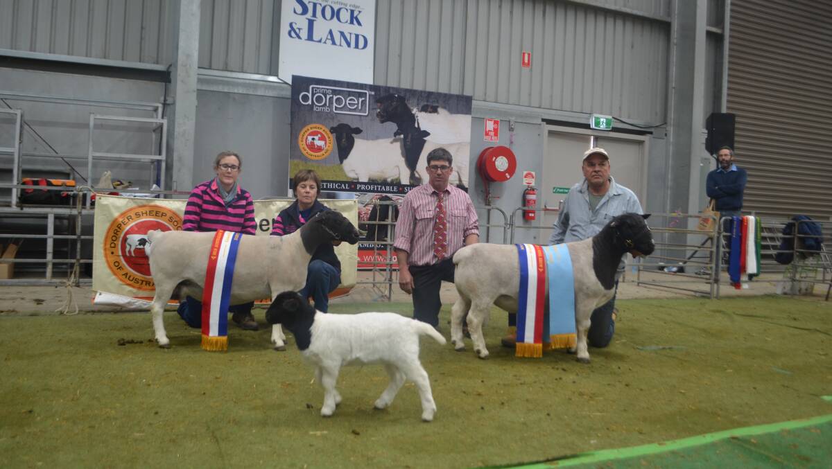 Andrea and Moozie van Niekerk, Dell Dorpers, Moama with grand champion ewe, judge Nick Pagett and Marius Loots, Prieska Dorpers, Peak Hill with grand champion ram and supreme exhibit.