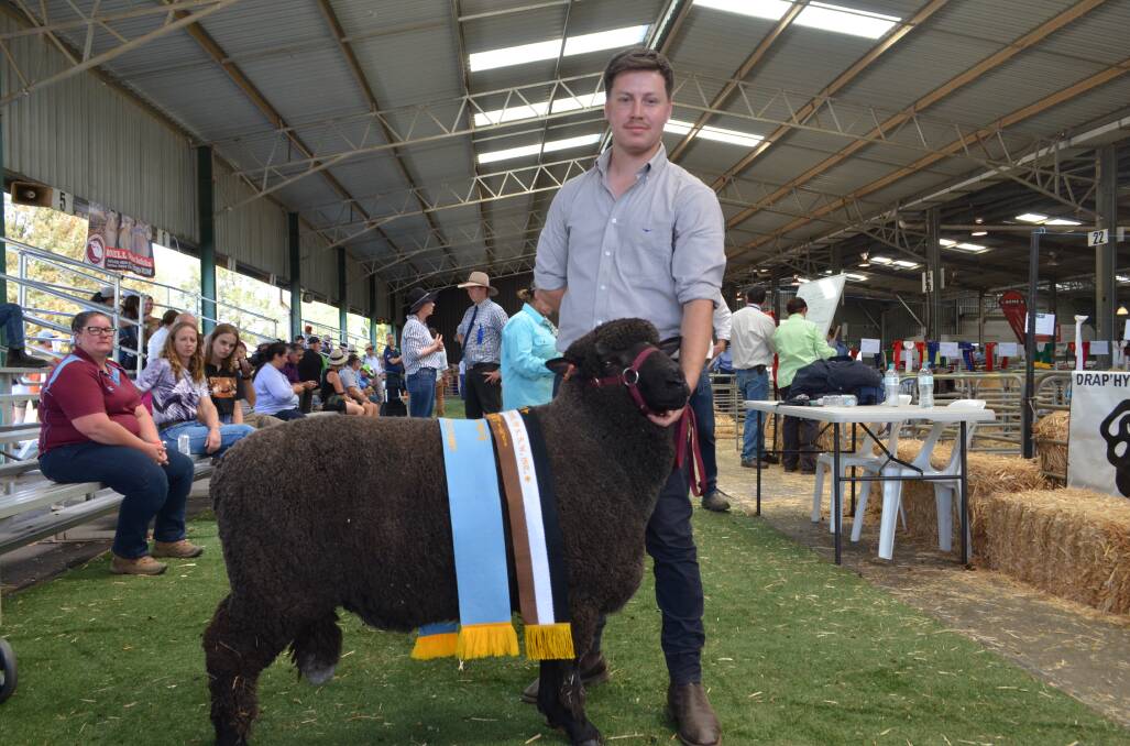 Ryan Bechaz, Mornington, Victoria with the supreme exhibit in the Black and Coloured feature breed. His Corriedale ram had been successful in the medium wool class. 