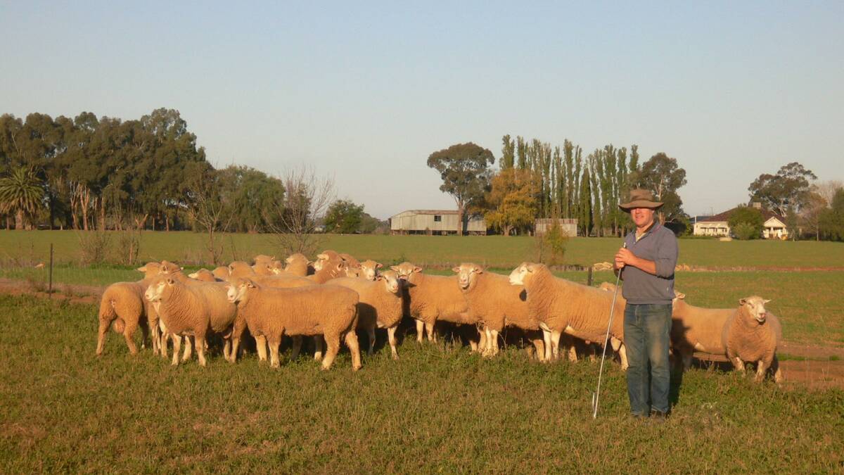 Rob McCartney, Yentrac, Tatura, Victoria with a selection of terminal sires to be offered in the spring. Photo: Lynne McCartney. 