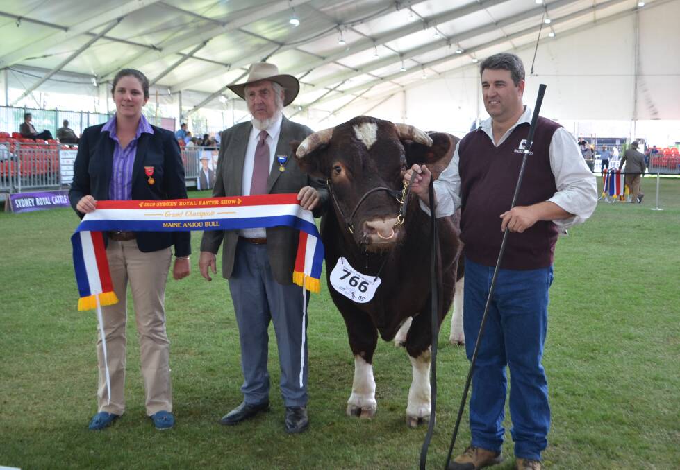 Grand champion bull: Rachael Hancock, judge Lester Job with Uandi Colossus paraded by Damien Cooper