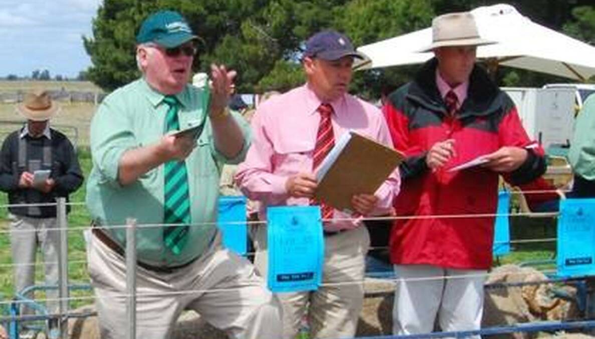 SALE-O: Kevin Norris in full flight at One Oak Poll Merino ram sale, Jerilderie, NSW, in 2011, with agents Ron Rutledge and Trevor Basset. 